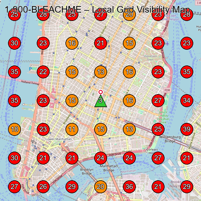 1-900-BLEACHME GeoGrid visibility map for Hair Salon in New York